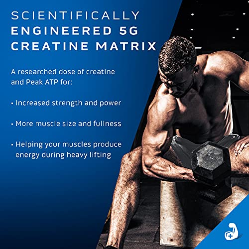 Creatine Powder | MuscleTech Cell-Tech Elite Creatine Powder | Post Workout Recovery MuscleTechBuy Supplements Australia