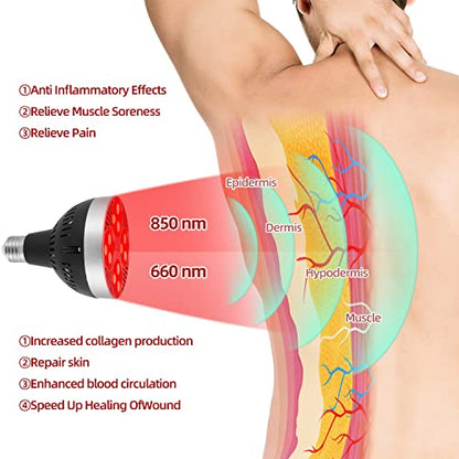 Red Light Therapy Lamp 24 LED Used for Red Light for Body and Face 660nm Red and 850nm Msupps.comBuy Supplements Australia