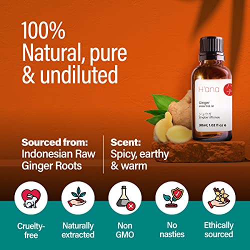 H’ana Pure Ginger Oil for Belly Fat & Pain - 100% Natural Therapeutic Grade Ginger Essentia H'anaBuy Supplements Australia