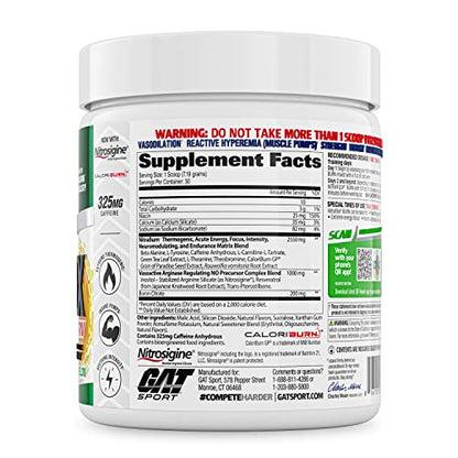 GAT SPORT NITRAFLEX Burn, Pre Workout Thermogenic Powder, Apple Melon, 30 Servings GAT SPORTBuy Supplements Australia