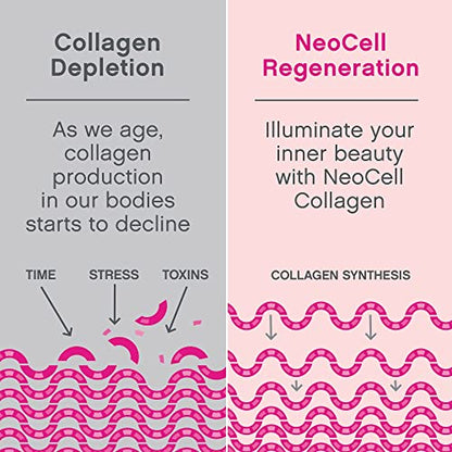 NeoCell Super Collagen Powder, 10g Collagen Peptides per Serving, Gluten Free NeoCellBuy Supplements Australia