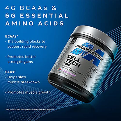 Creatine Powder | MuscleTech Cell-Tech Elite Creatine Powder | Post Workout Recovery MuscleTechBuy Supplements Australia