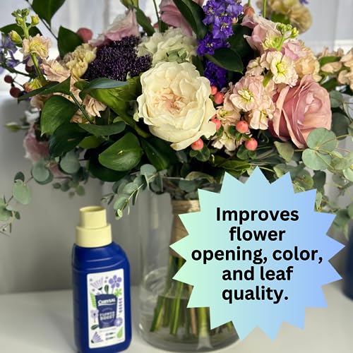 Chrysal Cut Flower Universal Food (10 ml/L Bottle) — Increase The Flower Boost with Floral Supplies ChrysalBuy Supplements Australia