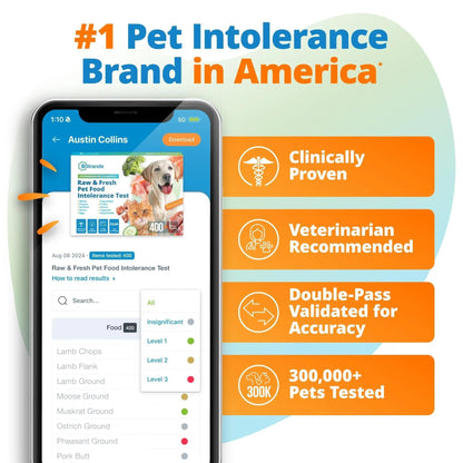 5Strands Raw & Fresh Pet Food Intolerance Test, at Home Gut Health Test for Dogs & Cats, 400+ Raw & Gently Cooked Fresh Food Items Tested, Accurate for All Ages & Breeds, Fast 4 Day Results - Maple Wellness Supplements