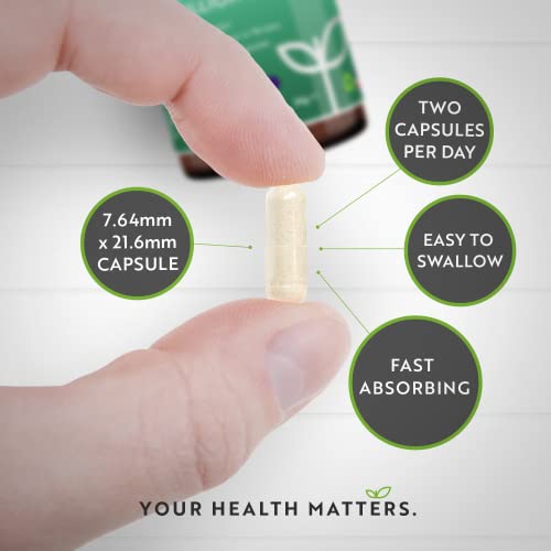 60 Billion CFU Probiotic Cultures - Scientifically Backed Lactospore® for Good Gut Flora - Maple Wellness Supplements