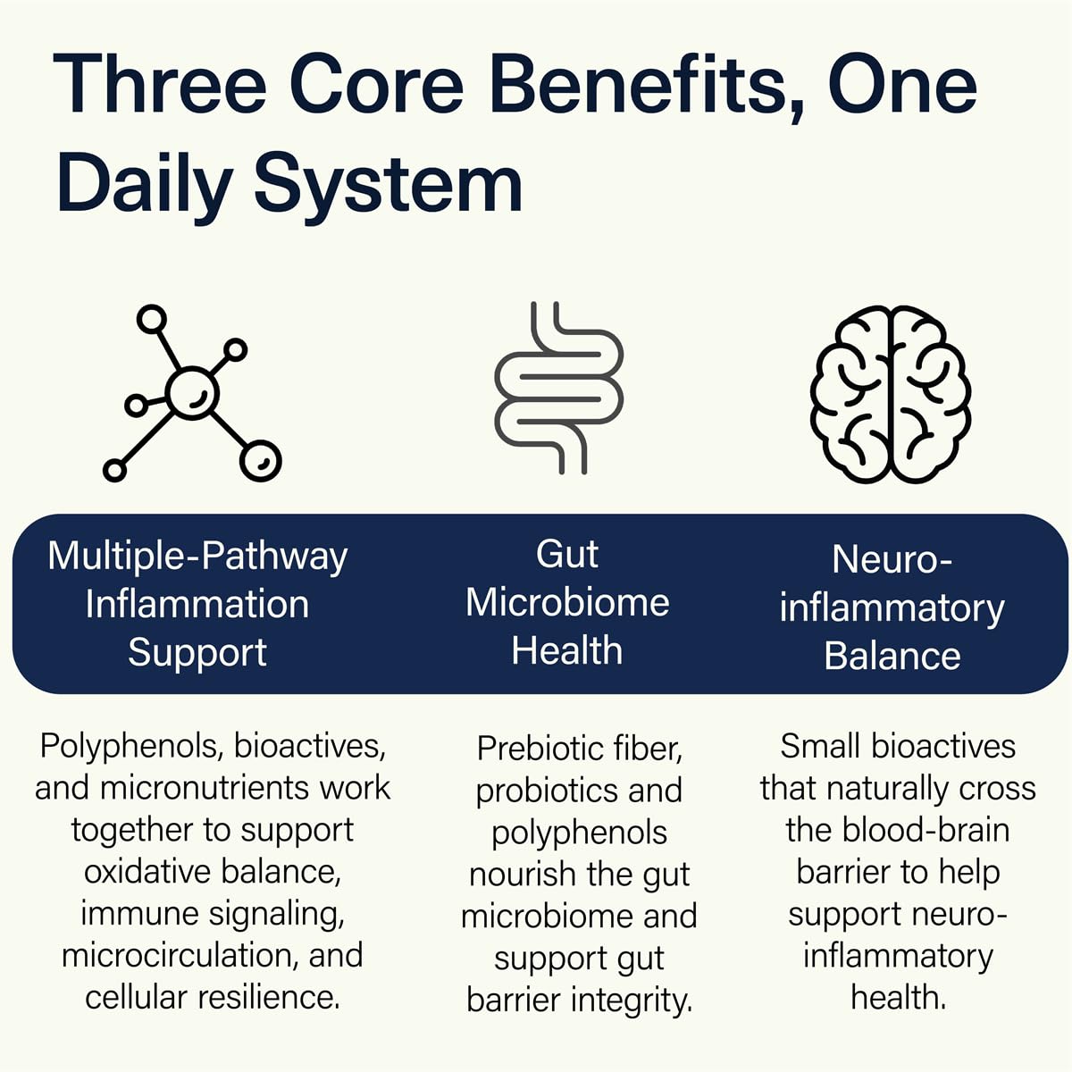 ACEND Advanced Inflammatory Support Powdered Drink Mix | Evidence-Based Polyphenols + Prebiotic Fiber + Probiotics | D3+K2, Minerals & Electrolytes | Non-GMO ACENDBuy Supplements Australia