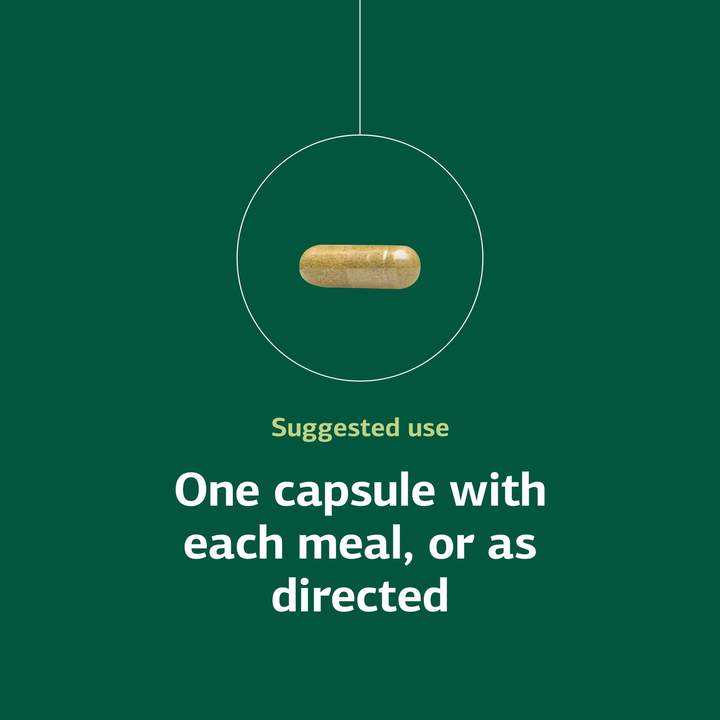 Standard Process Ostarplex - Dietary Supplement for Connective Tissue Health - Aids Liver Health & Function - Contains Vitamin B6 - Non-Dairy - 90 Capsules (90 Servings) Standard Process Inc.Buy Supplements Australia