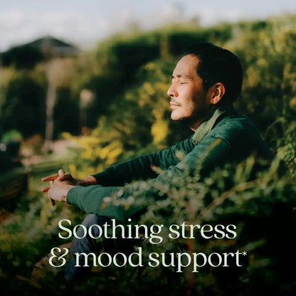 New Chapter Perfect Calm - Daily Multivitamin for Stress & Mood Support with B Vitamins + Holy Basil + Lemon Balm New Chapter