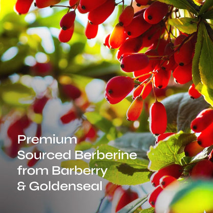Neurogan Berberine Supplement Capsules, Weight Management Support - 45,000MG Natural NeuroganBuy Supplements Australia