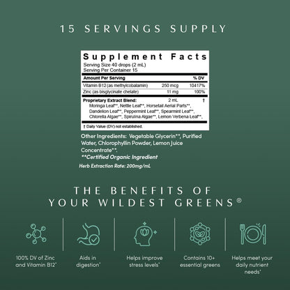 Apothékary Your Wildest Greens Herbal Liquid Drops, All-in-One Daily Superfood Supplement, Vitamin & Mineral Support, 5X Potency of Greens Powders, Sugar Free, Calorie Free, (15 Servings) 1.22oz ApothékaryBuy Supplements Australia