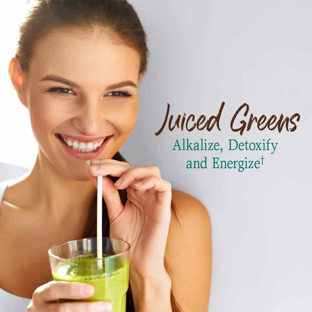 Garden of Life Raw Organic Perfect Food Green Superfood Juiced Greens Powder - Chocolate, 60 Servings, Non-GMO, Gluten Free, Vegan Whole Food Dietary Supplement Plus Probiotics, Enzymes Garden of LifeBuy Supplements Australia