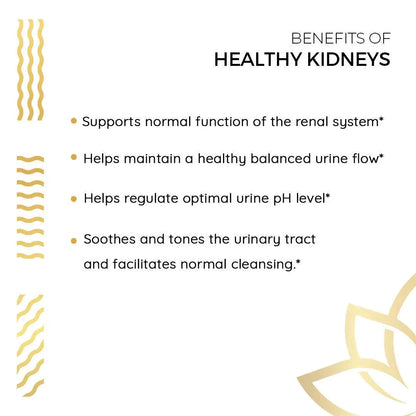 Kerala Ayurveda Healthy Kidney Herbal Tablets | Support Normal Kidney Function and Health | Kidney and Bladder Support | Urinary System Support - 90 Count Kerala AyurvedaBuy Supplements Australia