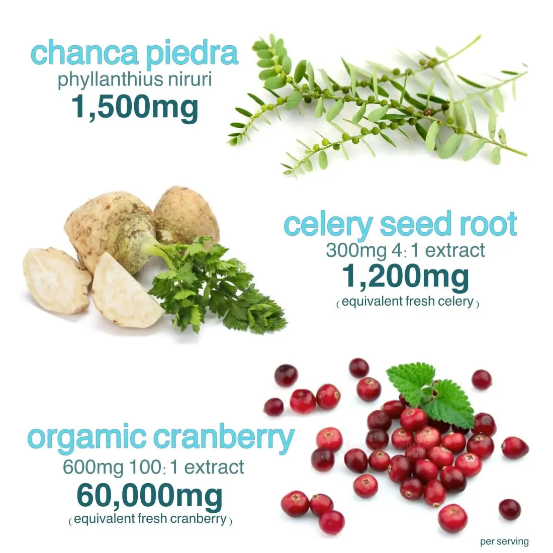 Holistic MD Stone Breaker Chanca Piedra 1,500mg Gummies Kidney Stones Cleanse Gallbladder Formula | Plus Cranberry Extract Might Help Urinary Tract Flush Impurities | Fast Absorption Sugar Free 60ct Holistic MDBuy Supplements Australia