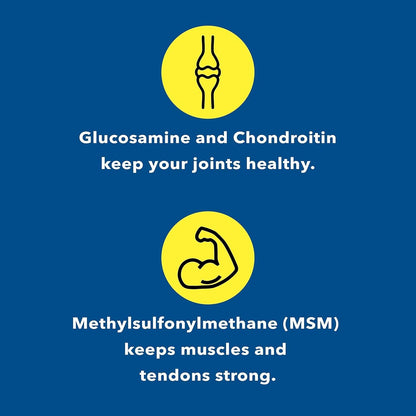 Healthy Joints System Glucosamine Chondroitin MSM Supplement for Joint & Bone Health - 120 Capsules | Joint Support & Discomfort Relief for Back, Knees, Hands Healthy Joints SystemBuy Supplements Australia