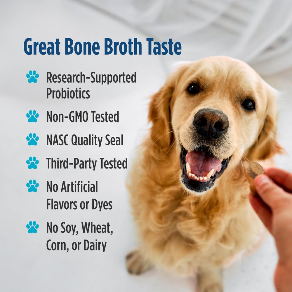 Nordic Naturals Pet Digestive Support with Probiotics, Pork Bone Broth Flavor - 30 Soft Chews - Nutritional Supplement for a Healthy Digestive System and GI Support - 30 Non-GMO Chews Nordic NaturalsBuy Supplements Australia
