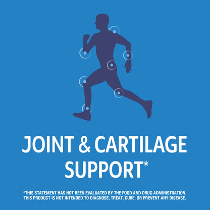 21st Century Arthri-Flex Advantage® + Vitamin D3, 120 Coated Tablets 21st CenturyBuy Supplements Australia