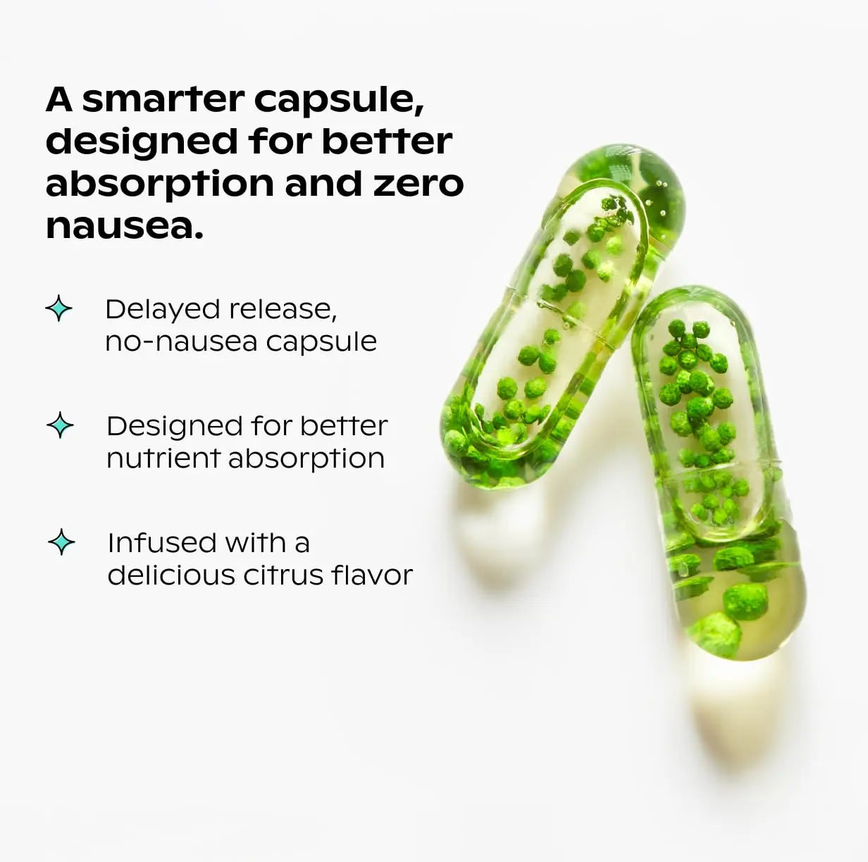 wholier Plant Based Multivitamin Vegan Omega-3 DHA EPA, Vitamin D, B12, Zinc, Vitamin K2, Iron, Iodine, Selenium wholier