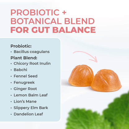 Nature’s NutriWave PrimeBiome Probiotic Gummies – Plant-Based Blend with Inulin, Lion’s Mane, Ginger & More– Non-GMO, No Stimulants, GMP Certified