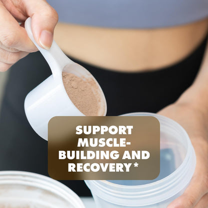 Sculpt Nation by V Shred Protein Powder (Chocolate) - Premium Whey Protein Powder Sculpt NationBuy Supplements Australia
