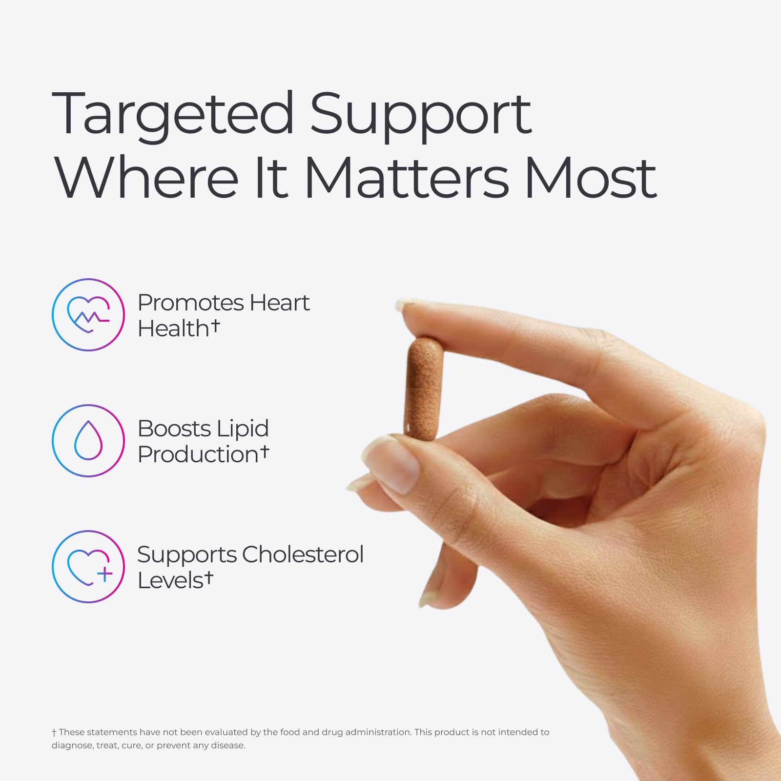 Livingood Daily Cholesterol Support Supplement with Garlic, CoQ10, Vitamin E, Bergamot, Plant Sterols for Body and Heart Health Support, Supports LDL and Triglycerides, Gluten Free, Vegan, 60 Capsules Livingood DailyBuy Supplements Australia