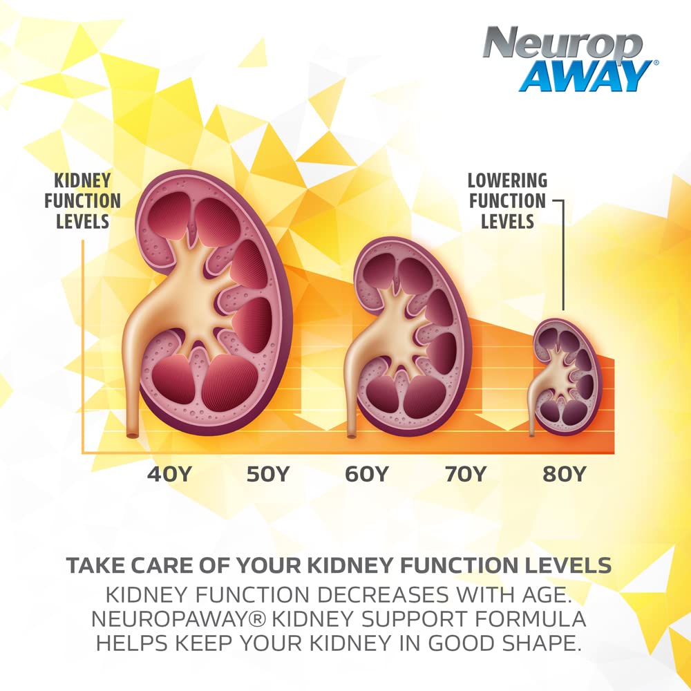 NeuropAWAY Kidney Support Formula Sugar Free with Agmatine Sulfate 500mg L-Novaline 50mg L-Ornithine 150mg L-Citrulline 100mg Per Capsule 90CT Fast Acting Kidney Support NeuropAWAYBuy Supplements Australia
