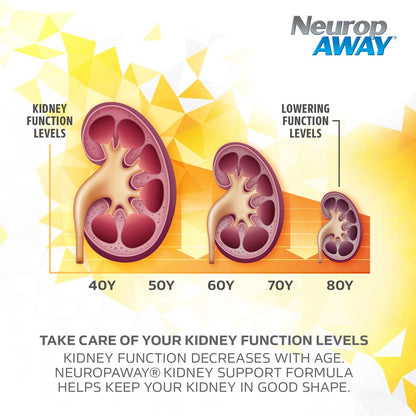 NeuropAWAY Kidney Support Formula Sugar Free with Agmatine Sulfate 500mg L-Novaline 50mg L-Ornithine 150mg L-Citrulline 100mg Per Capsule 90CT Fast Acting Kidney Support NeuropAWAYBuy Supplements Australia