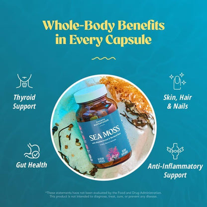 Akasha Superfoods Sea Moss Capsules, Organic Irish Moss with Bladderwrack Root, Burdock Root, and BioPerine, Skin, Thyroid, Digestion & Immunity Support for Women & Men, Gluten Free, Vegan, 60 Count Akasha SuperfoodsBuy Supplements Australia