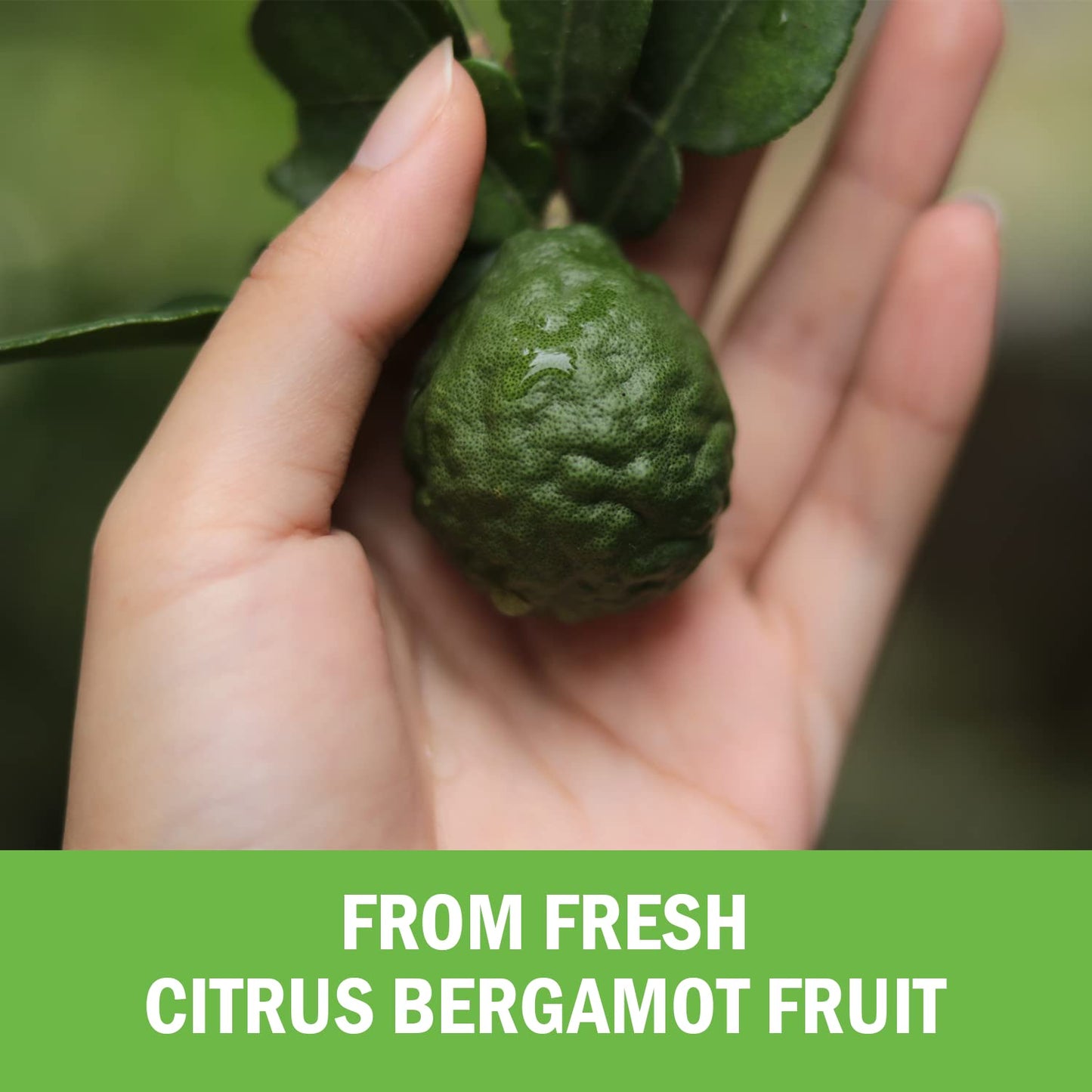 Citrus Bergamot 1000mg - Citrus Bergamot Supplement for Cholesterol and Heart Health - Ultra Concentrated from Fresh Fruit for Enhanced Absorption