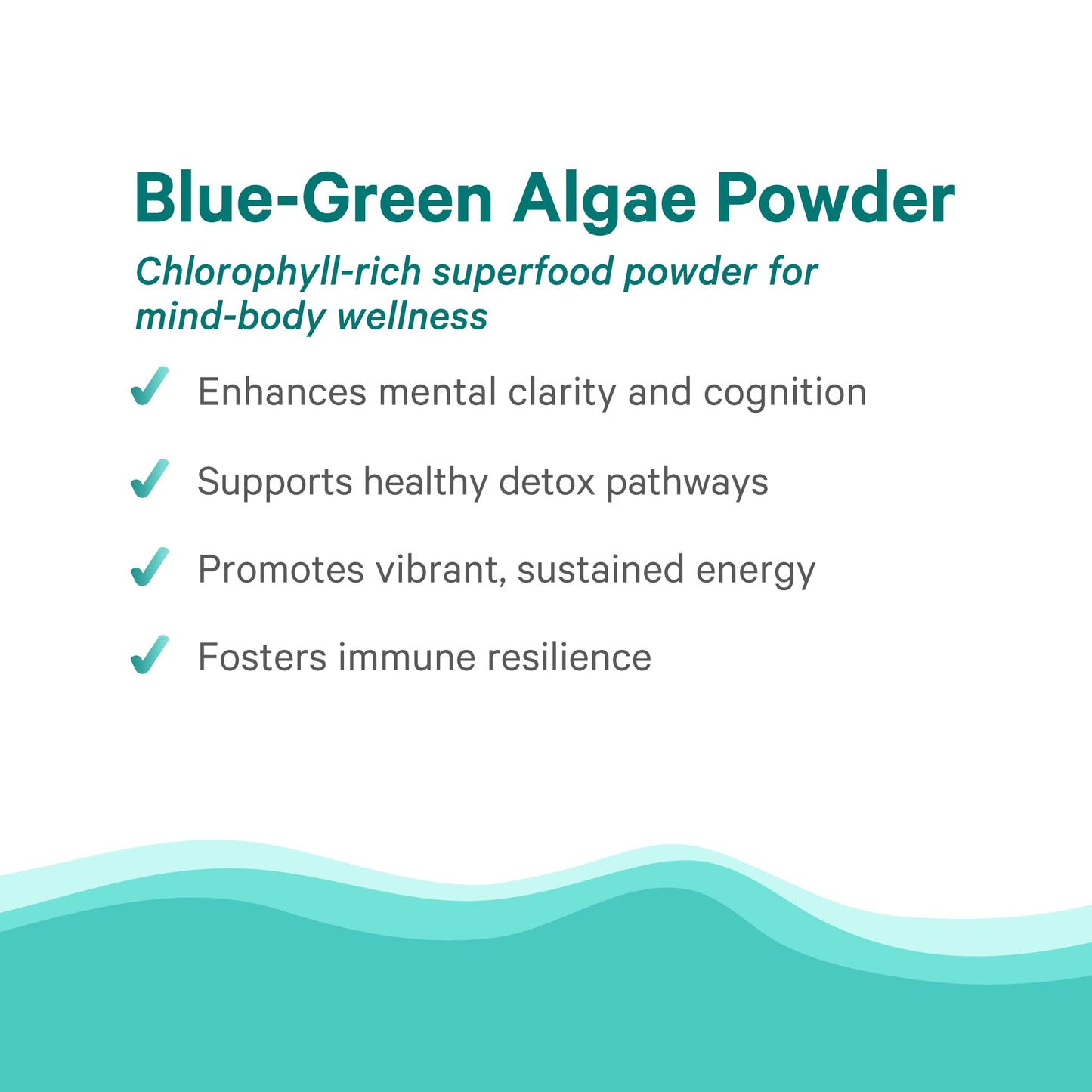 PURE SYNERGY Blue-Green Algae Powder | Superfood Powder with Chlorophyll | Organic AFA Blue Green Algae Supplement | Supports Energy, Mental Clarity, and Detoxification (3.2 oz.) PURE SYNERGYBuy Supplements Australia
