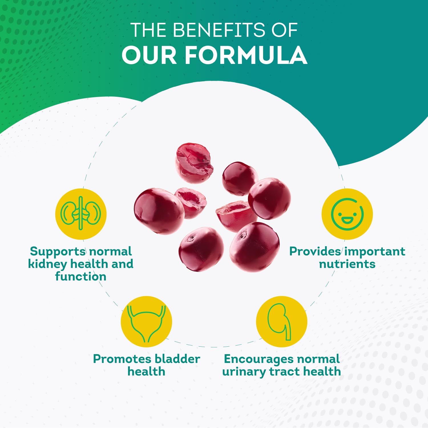 PurePremium Kidney Support Supplement with Cranberry Extract - Kidney Cleanse, Detox PurePremium SupplementsBuy Supplements Australia