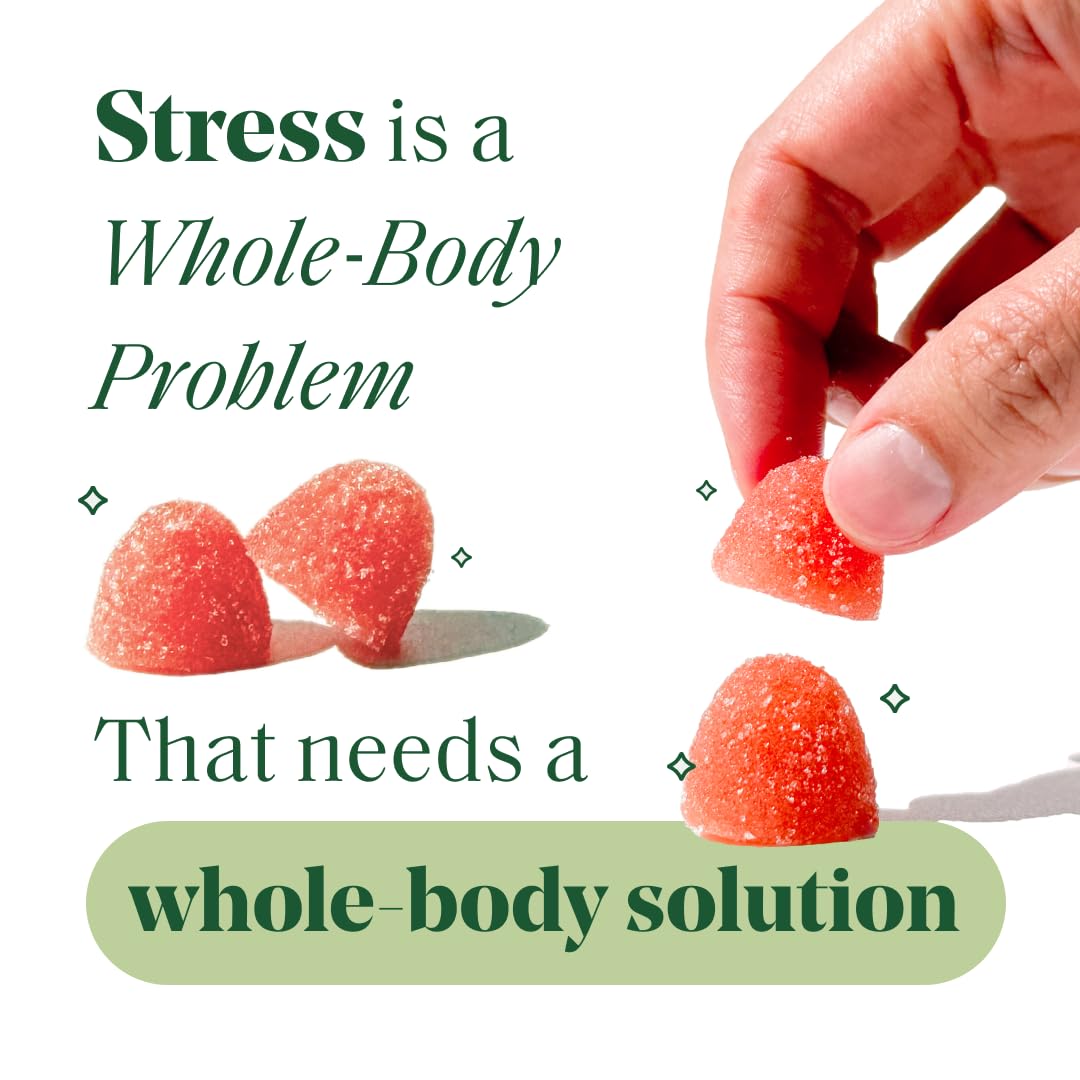 Semaine Stress Less Gummy with Cortisol Care™ 60 Count – Daily Support for Stress, Mood & Sleep SemaineBuy Supplements Australia