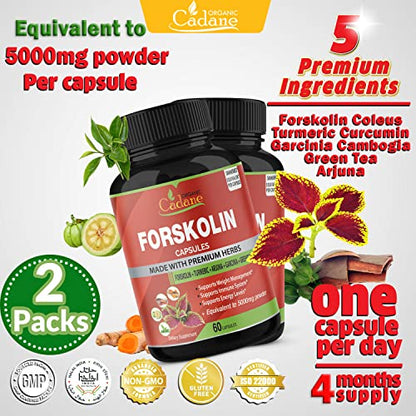 2 Packs Organic Forskolin Supplements Capsules 5000mg with Turmeric, Arjuna, Garcinia Cambogia Organic CadaneBuy Supplements Australia