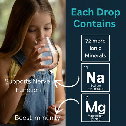 MAYU Trace Mineral Drops, 3 Bottles, Great-Tasting Hydration & Daily Energy, 80+ Full-Spectrum Trace Minerals, Third-Party Tested, Exceeds EU Standards, Magnesium, Potassium & Chloride, No Additives mayuBuy Supplements Australia