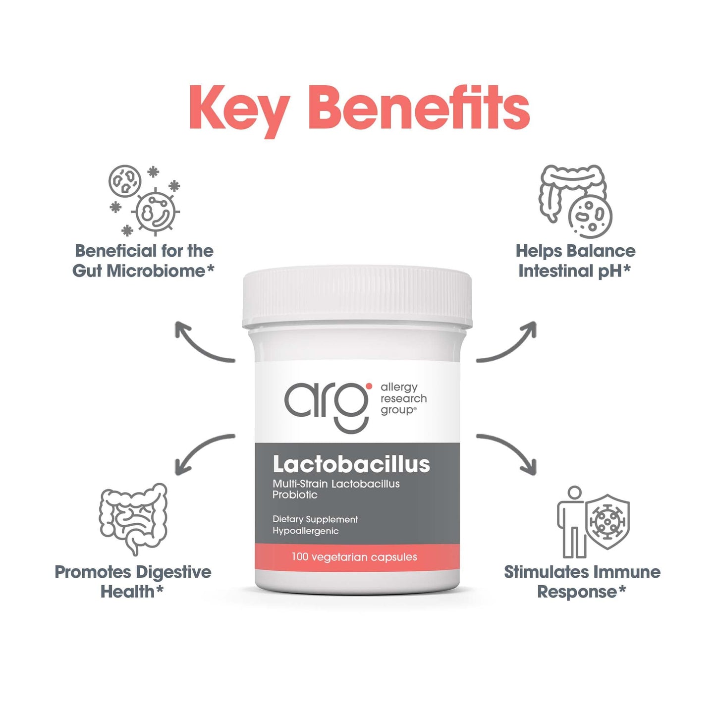 Allergy Research Group Lactobacillus Supplement - Probiotics for Men & Women, Digestive Health, Gut Health, Vegetarian Capsules - 100 Count Allergy Research GroupBuy Supplements Australia