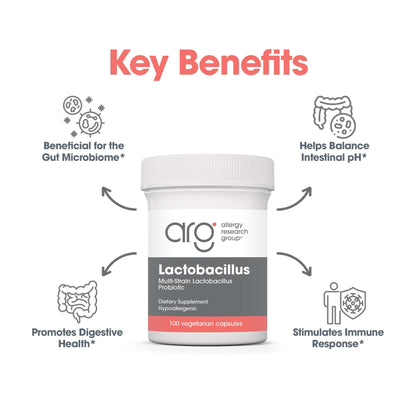 Allergy Research Group Lactobacillus Supplement - Probiotics for Men & Women, Digestive Health, Gut Health, Vegetarian Capsules - 100 Count Allergy Research GroupBuy Supplements Australia