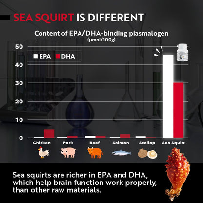 REMORY Plasmalogen Sea Squirt Supplement - Brain Health Supplement - 30 Days Supply REMORYBuy Supplements Australia