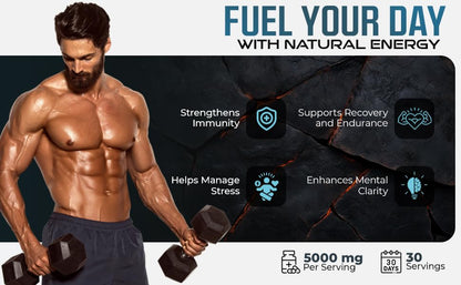Nusalus Shilajit Plus Gummies – 5-in-1 Adaptogen Energy & Focus Supplement | Shilajit, Ashwagandha, Lion’s Mane, Sea Moss & Beet Root | Natural Energy & Stress Support | Made in USA, Vegan, 60ct NusalusBuy Supplements Australia