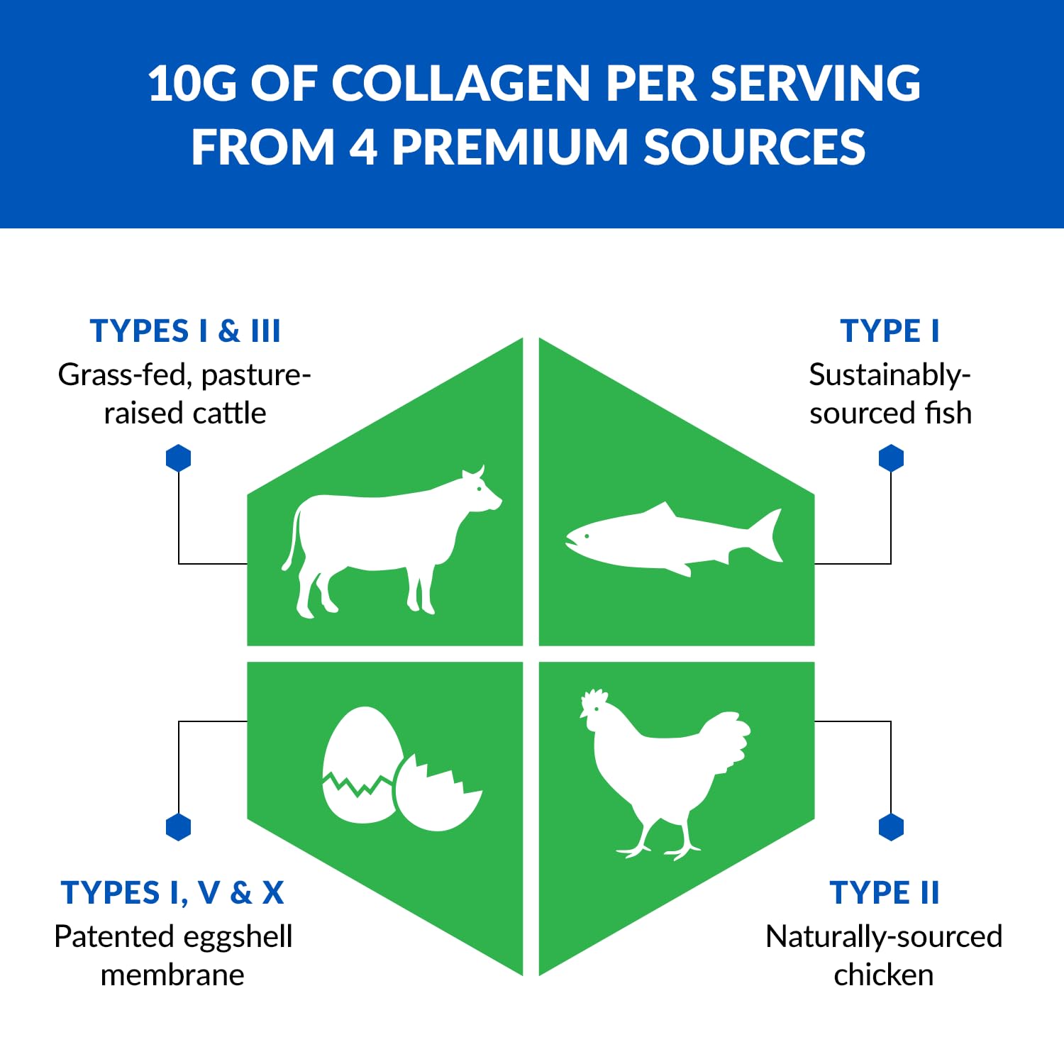 BioTrust Ageless Multi Collagen Protein Powder – 5 Collagen Types (I, II, III, V, X) BioTrustBuy Supplements Australia