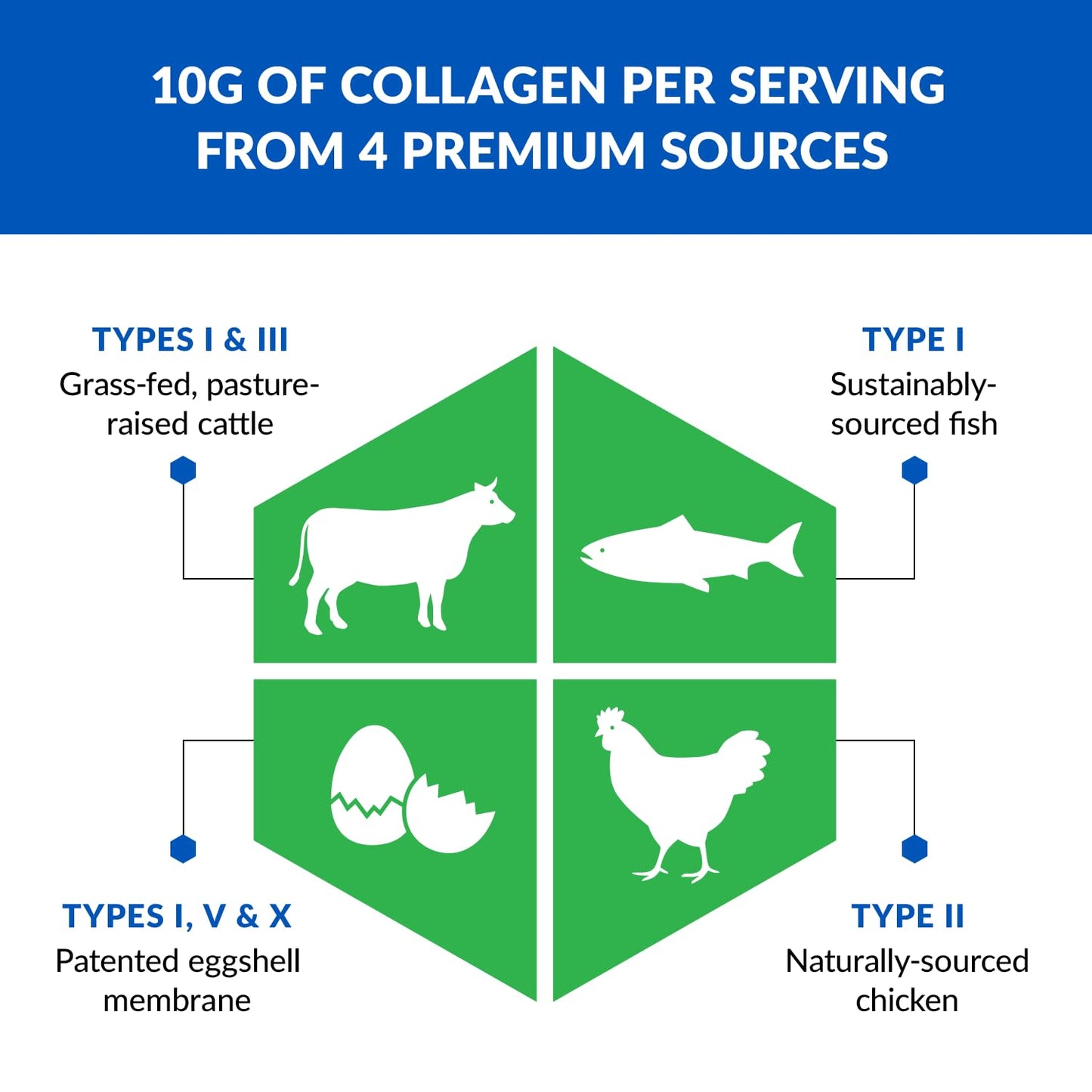BioTrust Ageless Multi Collagen Peptides Powder – 5 Types (I, II, III, V, X) BioTrustBuy Supplements Australia