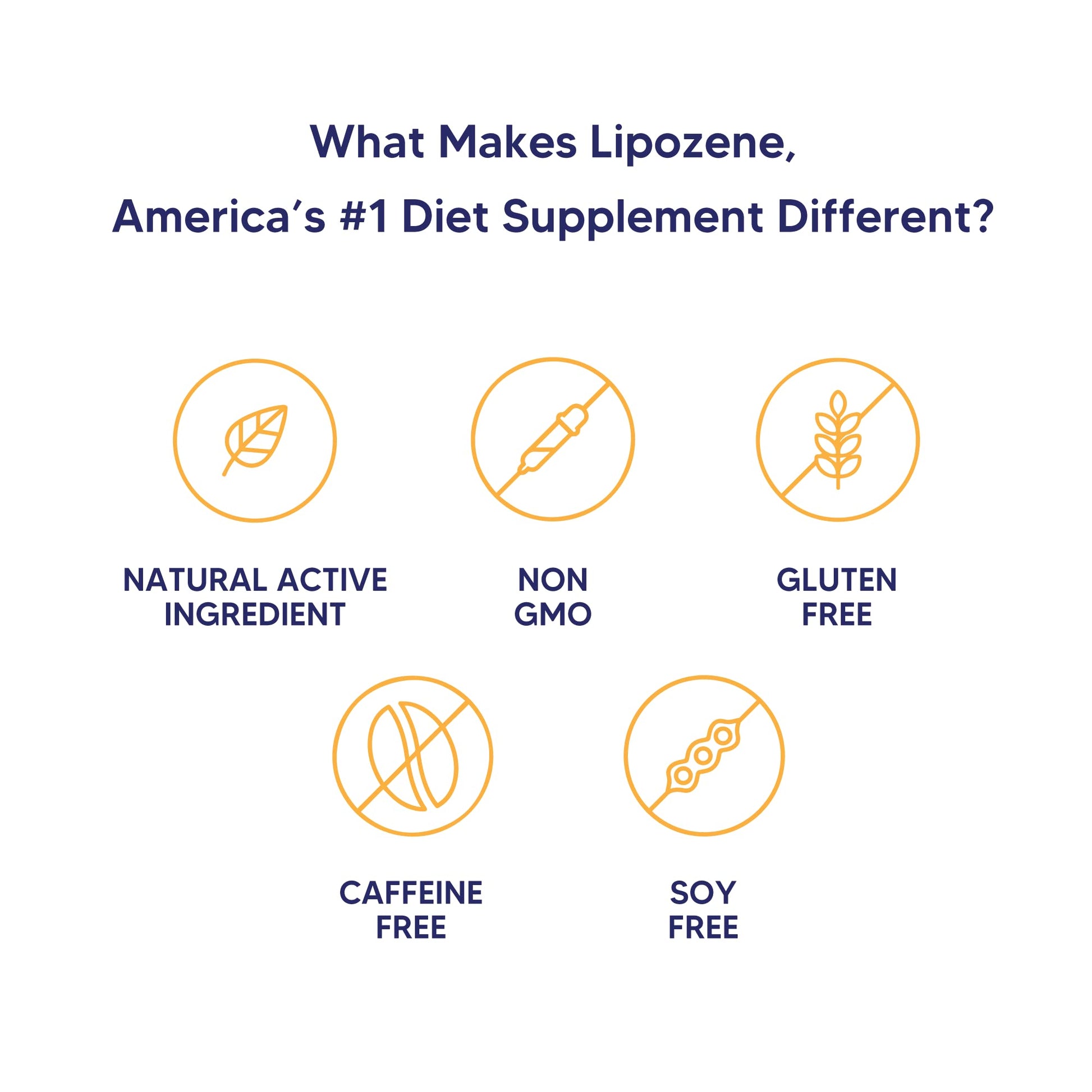 Lipozene Diet Pills - Weight Loss Supplement - Appetite Control - Two Bottles of 30 Capsules LipozeneBuy Supplements Australia
