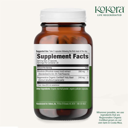 kokora Extra Strength Rhodiola Rosea – Stress Relief, Endurance & Promotes Mental & Physical Performance* - with Siberian Rhodiola, Rosavins, Organic Holy Basil - Vegan, Non-GMO - 60 Capsules kokoraBuy Supplements Australia