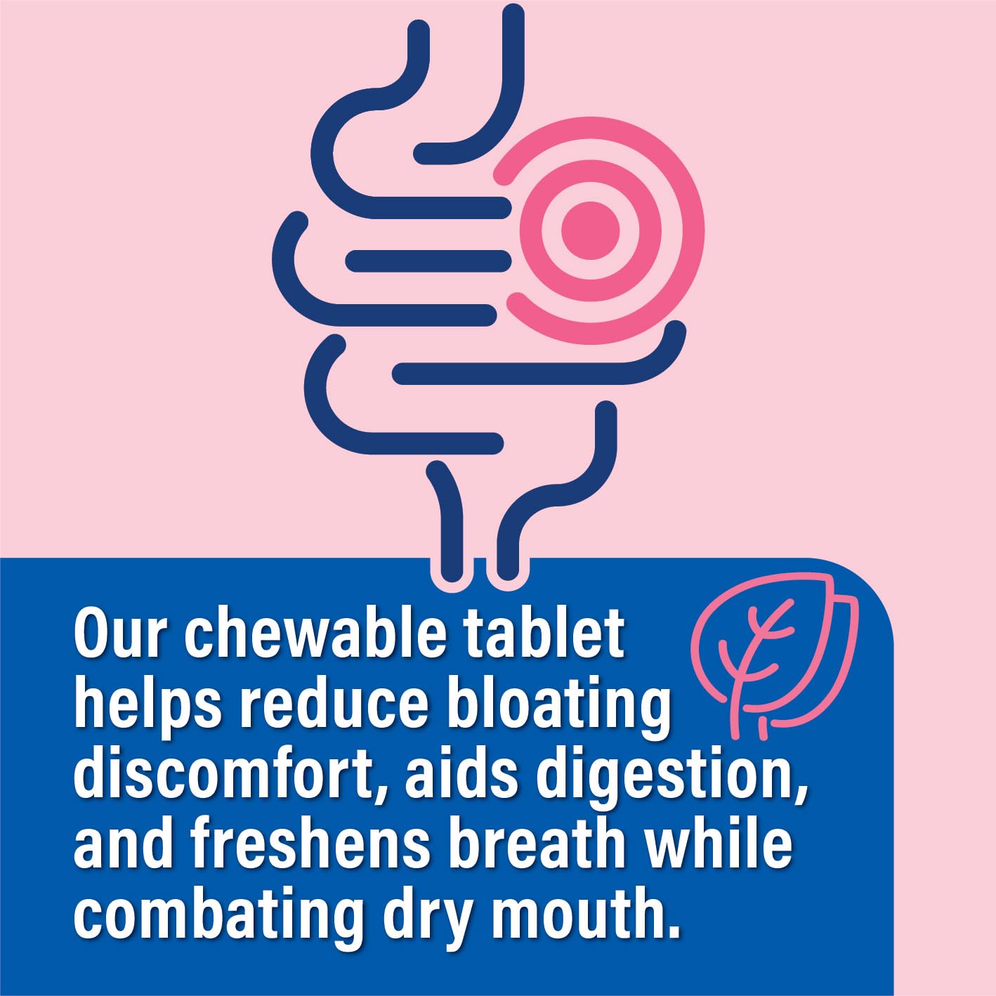 Probiotiv Chewable Probiotics for Daily Bloating w/ 5 Billion CFU – “Two-in-One Combo” ProbiotivBuy Supplements Australia