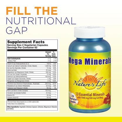 Nature's Life Mega Minerals Complex | Complete Multi Mineral + Vitamin D Supplement | 250 Vegetarian Capsules Nature's LifeBuy Supplements Australia