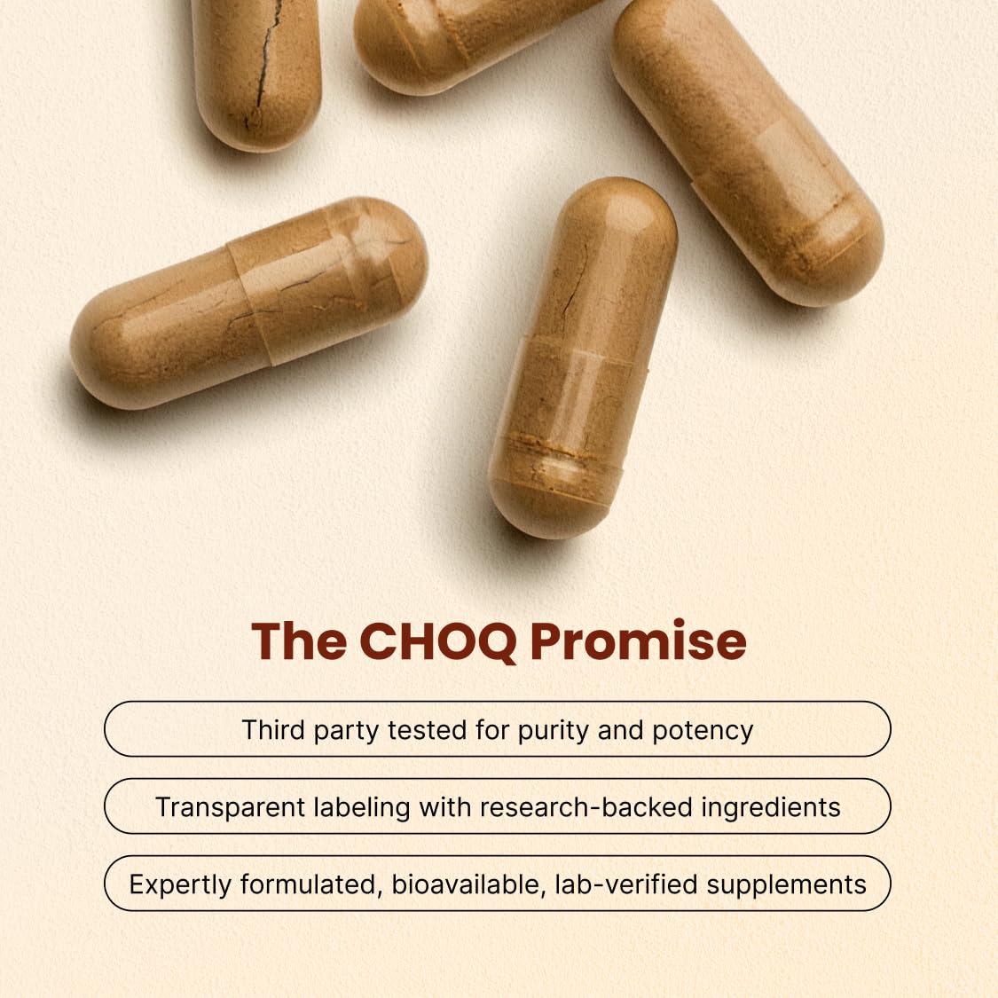 CHOQ Daily with 500mg PrimaVie Shilajit, Safed Musli, Tribulus - Natural Energy, Libido & Muscle Support - Daily Supplement for Men, 60 Vegan Capsules CHOQBuy Supplements Australia