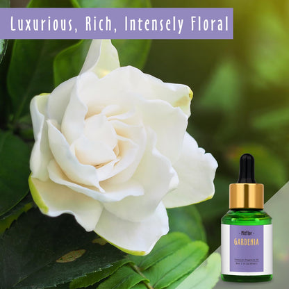 Gardenia Fragrance Oil, MitFlor Single Scented Oil, Large Size Premium Grade Fragrance Oil MitFlorBuy Supplements Australia