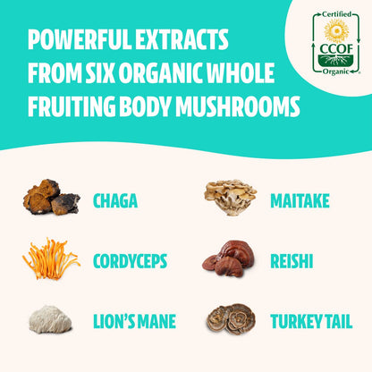FreshCap Ultimate Mushroom Complex - Lions Mane, Reishi, Cordyceps, Chaga, Turkey Tail FreshCap MushroomsBuy Supplements Australia
