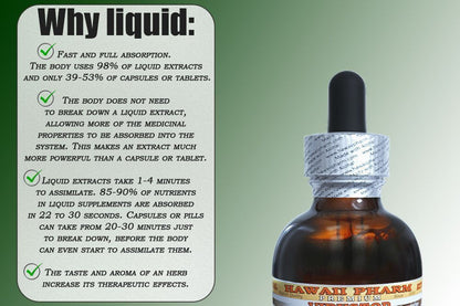 Wild Yam Liquid Extract, Wild Yam (Dioscorea Villosa) Tincture 2x32 oz HawaiiPharmBuy Supplements Australia