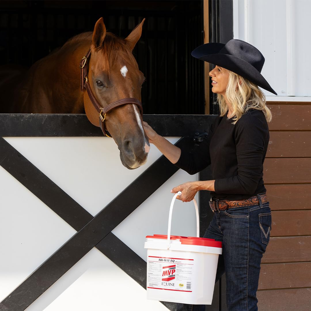 MVP Air-Way EQ Supports Healthy Lung Function and Seasonal Allergy Support in Horses, 5lb - 40 Servings MVPBuy Supplements Australia