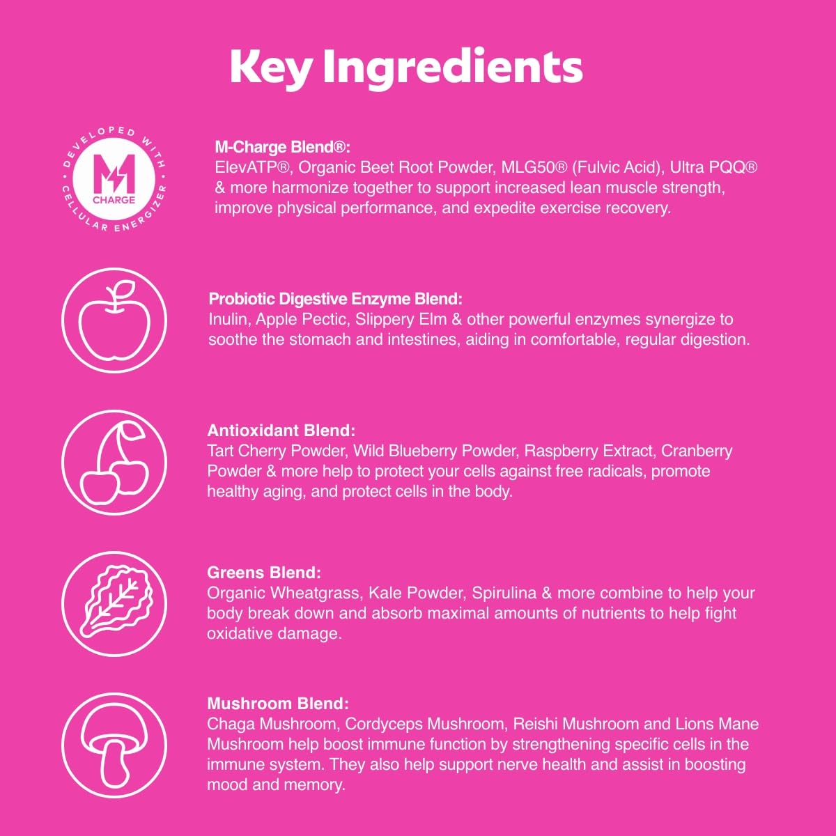 L'Evate You Vitality Daily Greens Powder (28 Servings) 30 Superfoods, 9 Greens - for a Cellular Energy Boost, Powered by M-Charge Complex for All Day Energy (Tart Cherry) Steve Harvey's L'Evate YouBuy Supplements Australia