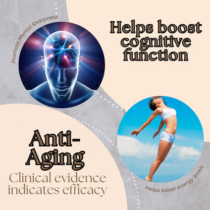 Research Labs Advanced NMN Resveratrol & Betaine (TMG) Longevity Formula – NAD Cellular Energy, Healthy Aging, Metabolic Support – Advanced Science Supplement – Made in USA NAD Supplement Booster Research LabsBuy Supplements Australia